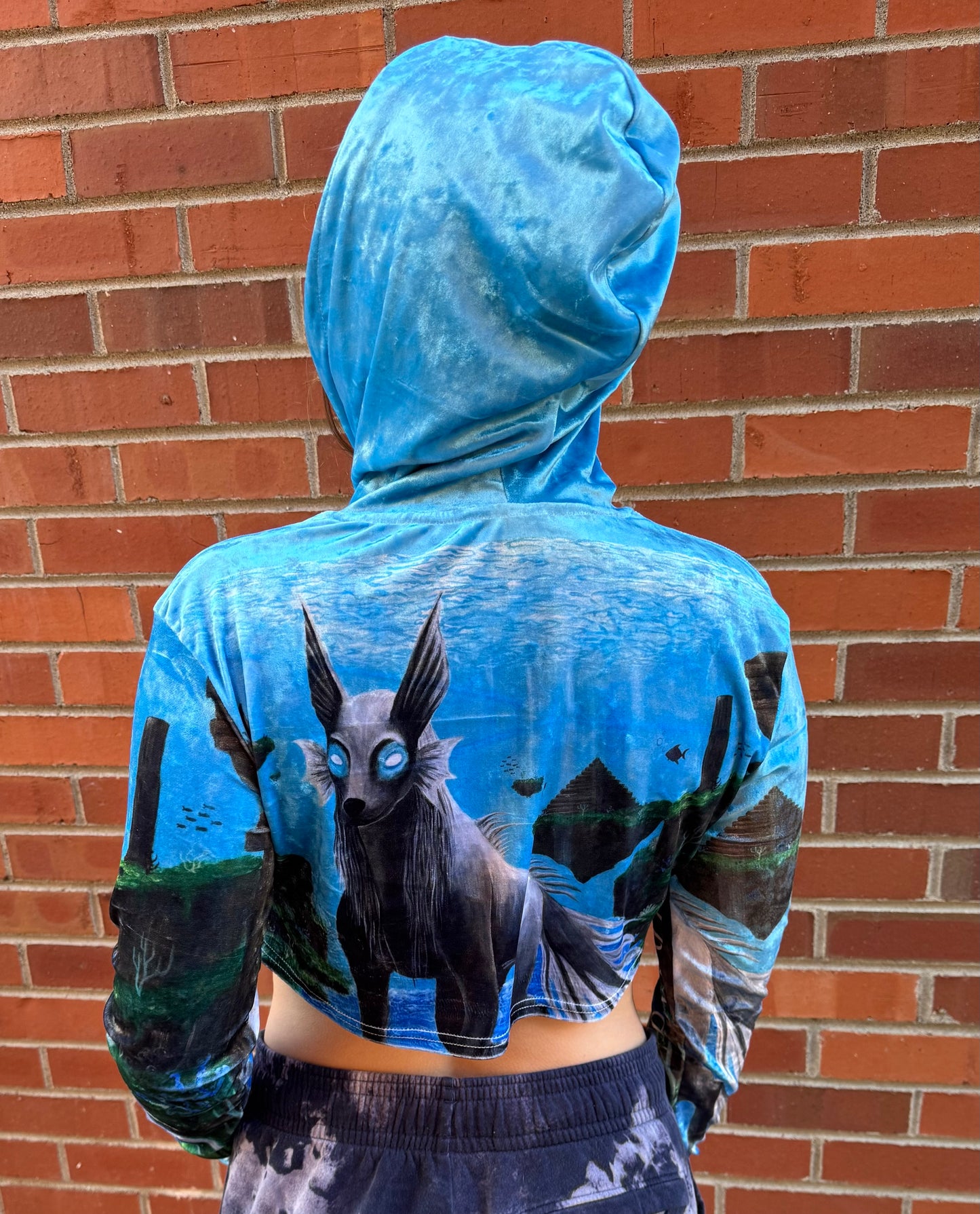 Marine Howl Velvet Cropped Hoodie